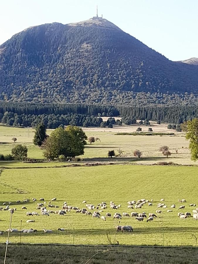 A 5 Mns Du Puy De Dome Avec Vue Imprenable Studio Rez De Jardin 24M2 Neuf A Laschamps Saint-Genès-Champanelle Kültér fotó